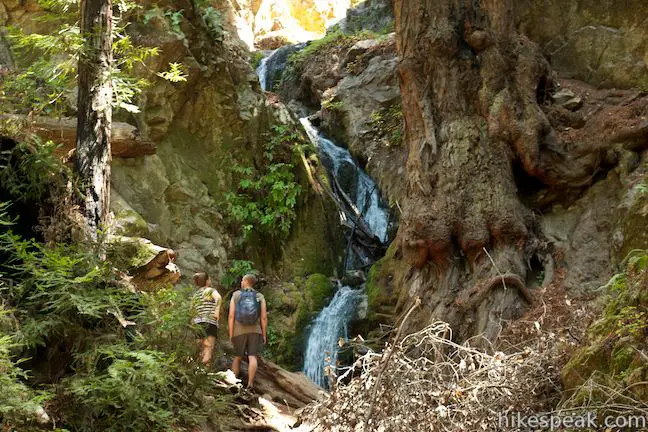 Canyon Falls Julia Pfeiffer Burns State Park