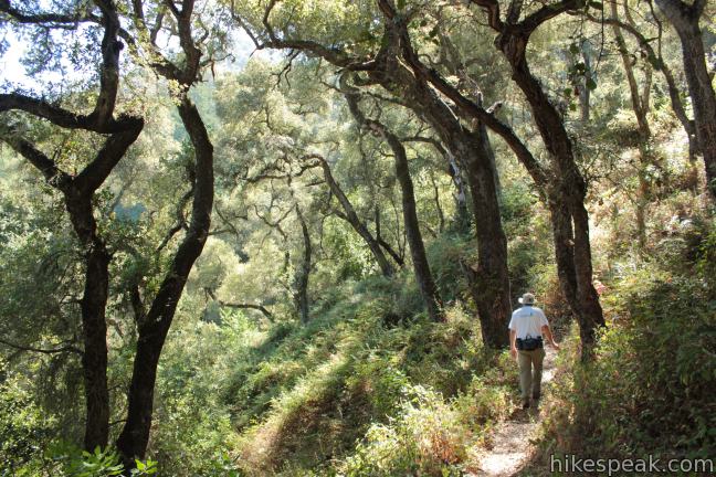 Cruickshank Trail