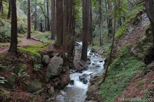 Hare Creek Trail