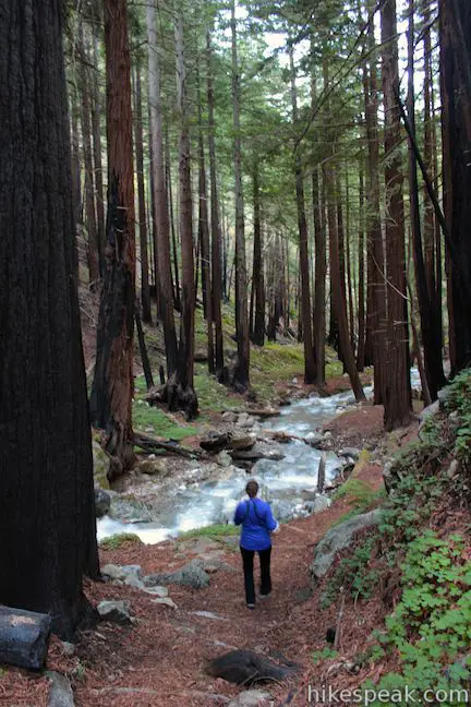 Hare Creek Trail