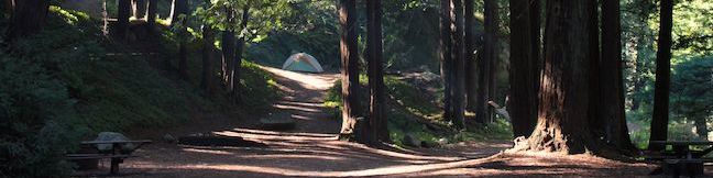 Camping Limekiln State Park Campground Big Sur California Limekiln Campground Redwood Campsites Ocean Campsites Limekiln SP