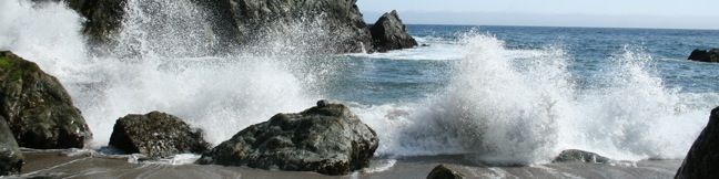 Partington Cove Trail Julia Pfeifer Burns State Park Trail Big Sur Hike