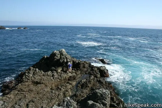 Partington Point Big Sur