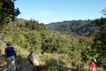 Valley View Trail Pfeiffer Big Sur
