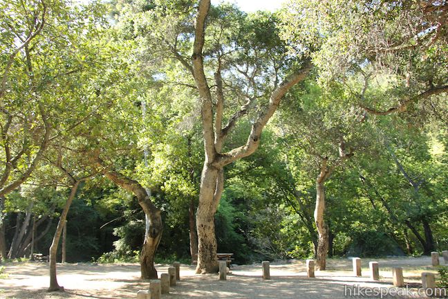 Pfeiffer Big Sur State Park Campground