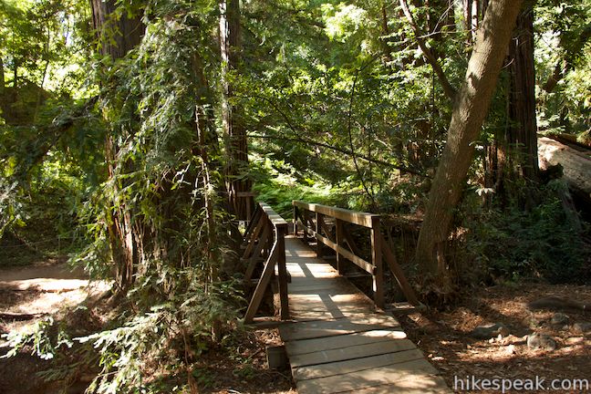 Pfeiffer Falls Valley View Trail Big Sur Hikespeak Com