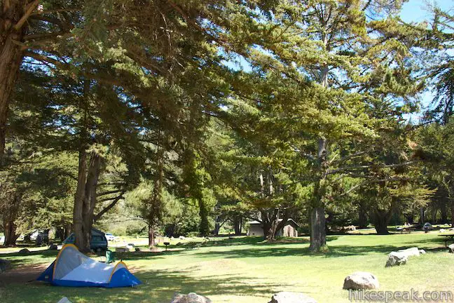 Plaskett Creek Campground