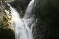 Salmon Creek Falls Trail