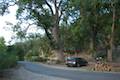 Pinnacles National Park Campground