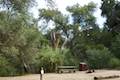 Pinnacles National Park Campground