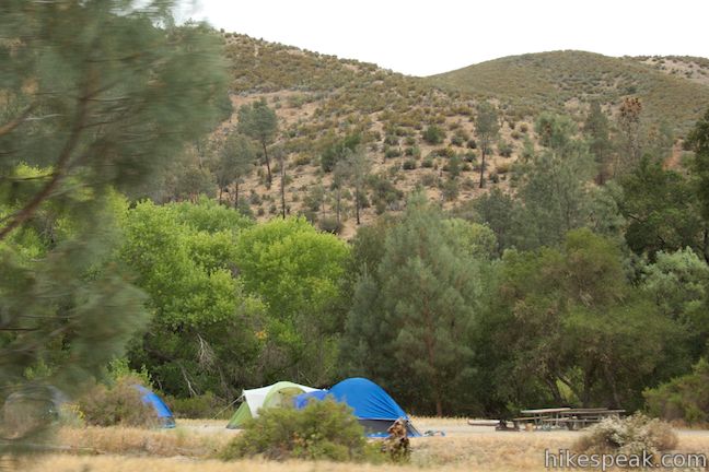 Campground in Pinnacles National Park