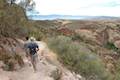 Juniper Canyon Trail