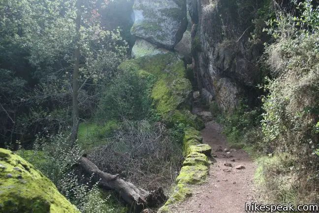 Bear Gulch Cave Pinnacles National Monument