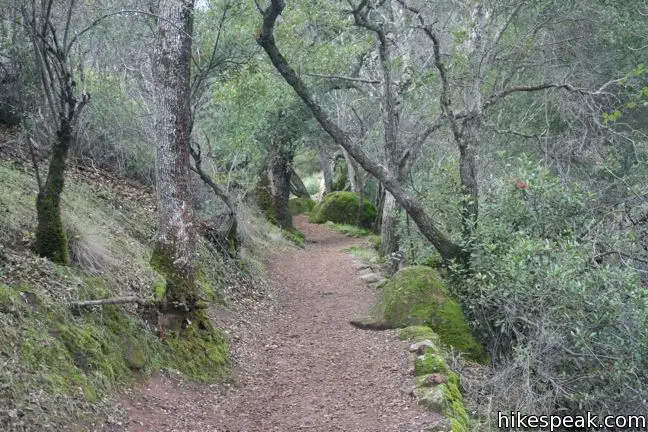 Bear Gulch Trail Pinnacles National Monument