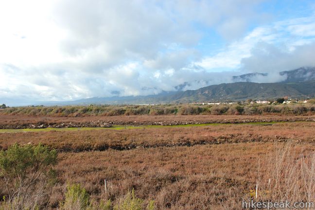 Carpinteria Salt Marsh Nature Park