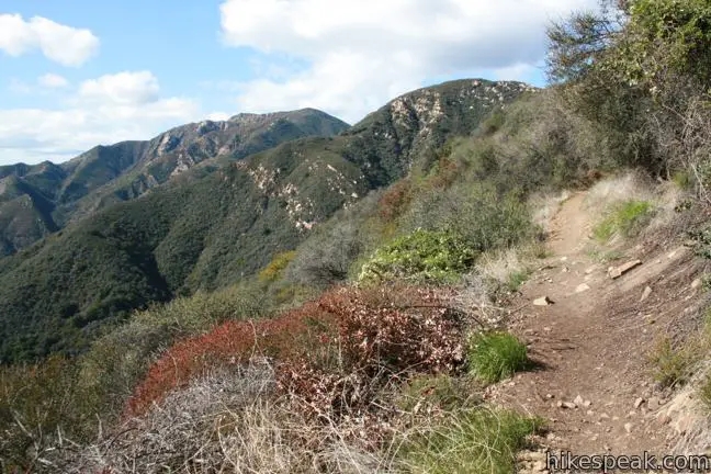 Montecito Peak Hike