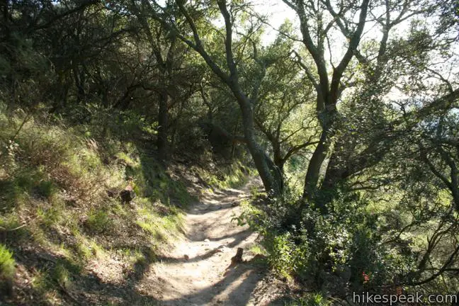 Montecito Peak Hike