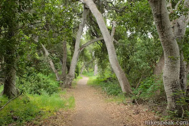 Ennisbrook Trail