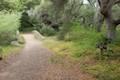 Ennisbrook Trail Montecito