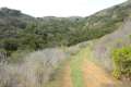 Gaviota Pass Overlook hike