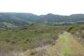 Gaviota Pass Overlook hike