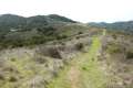 Gaviota Pass Overlook hike