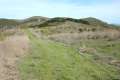 Gaviota Pass Overlook hike