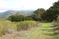 Gaviota Pass Overlook hike