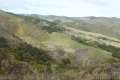 Gaviota Pass Overlook hike