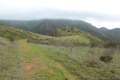 Gaviota Pass Overlook hike