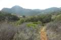 Gaviota Pass Overlook hike