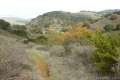 Gaviota Pass Overlook hike