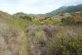 Gaviota Pass Overlook hike