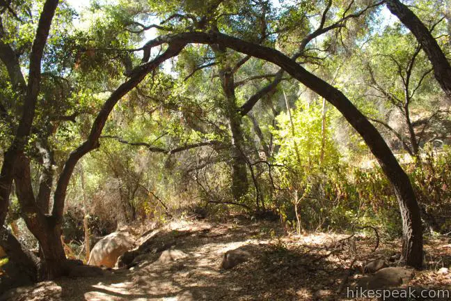 Jesusita Trail