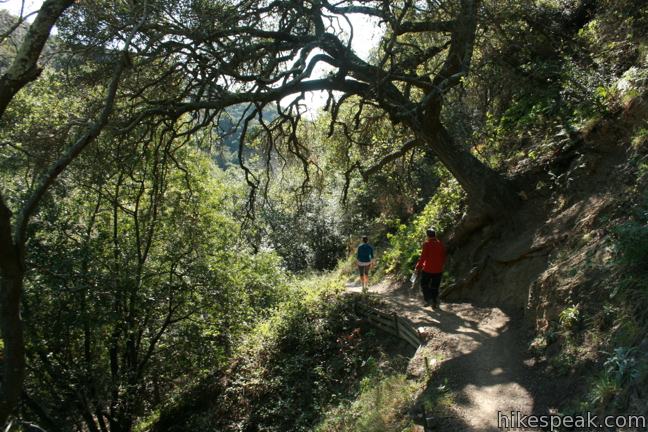 Tangerine Falls Hike