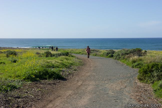 Bluff Trail | Montaña de Oro | San Luis Obispo | Hikespeak.com