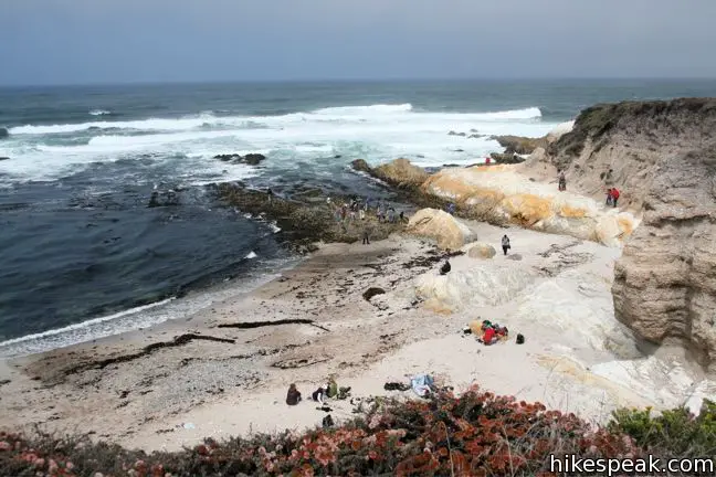 Montaña de Oro Corallina Cove