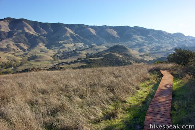 Summit Trail Santa Lucia Mountains