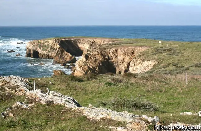 Point Buchon Trail