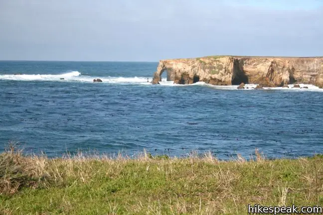 Point Buchon Trail