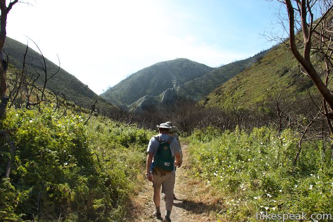 Coon Creek Trail