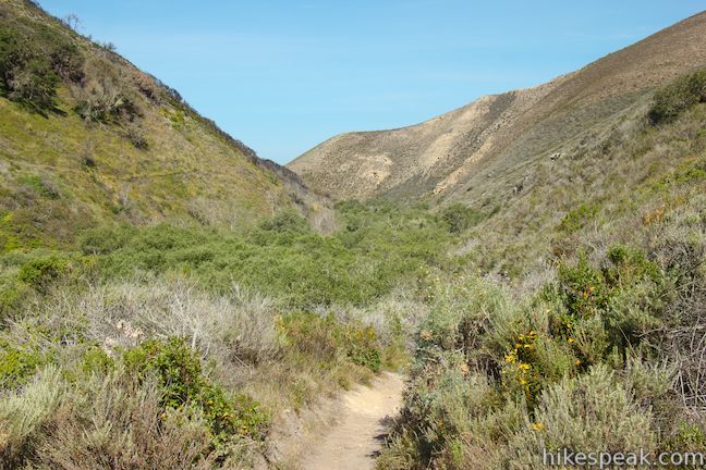 Coon Creek Trail