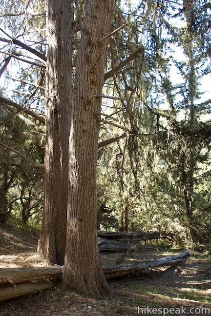 Coon Creek Trail Homestead Site