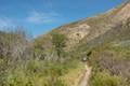 Coon Creek Trail