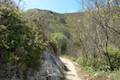 Coon Creek Trail