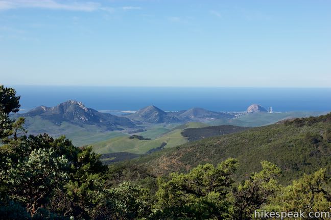 Cuesta Ridge Botanical Area