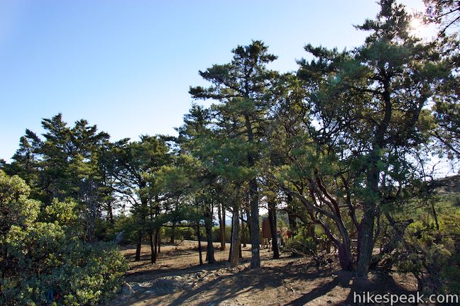 Cuesta Ridge Botanical Area