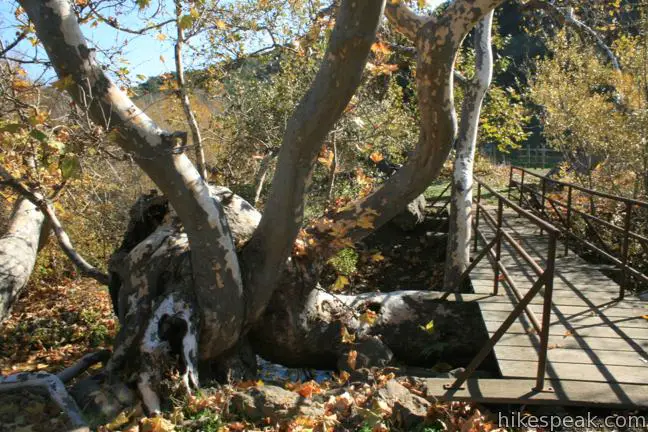 Eagle Rock Nature Trail El Chorro Regional Park