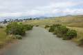 Fiscalini Ranch Marine Terrace Trail