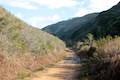Islay Creek Trail Montaña de Oro